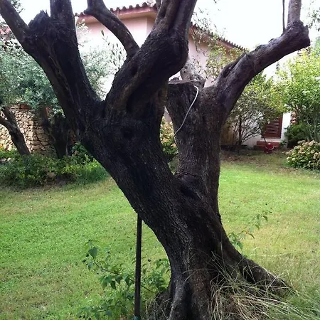 Antares Séjour chez l'habitant